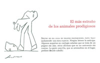 Invitaci�n RAF