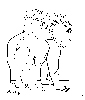 Los animales prodigiosos - Jos� Luis Cuevas (1997)